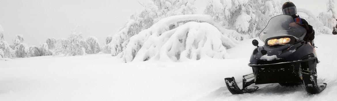 a black snowmobile with a rider in whiteout conditions with trees that are completely drenched with snow